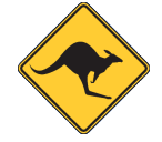 The Riverina Skippycoin ICG The Riverina Skippycoin ICG